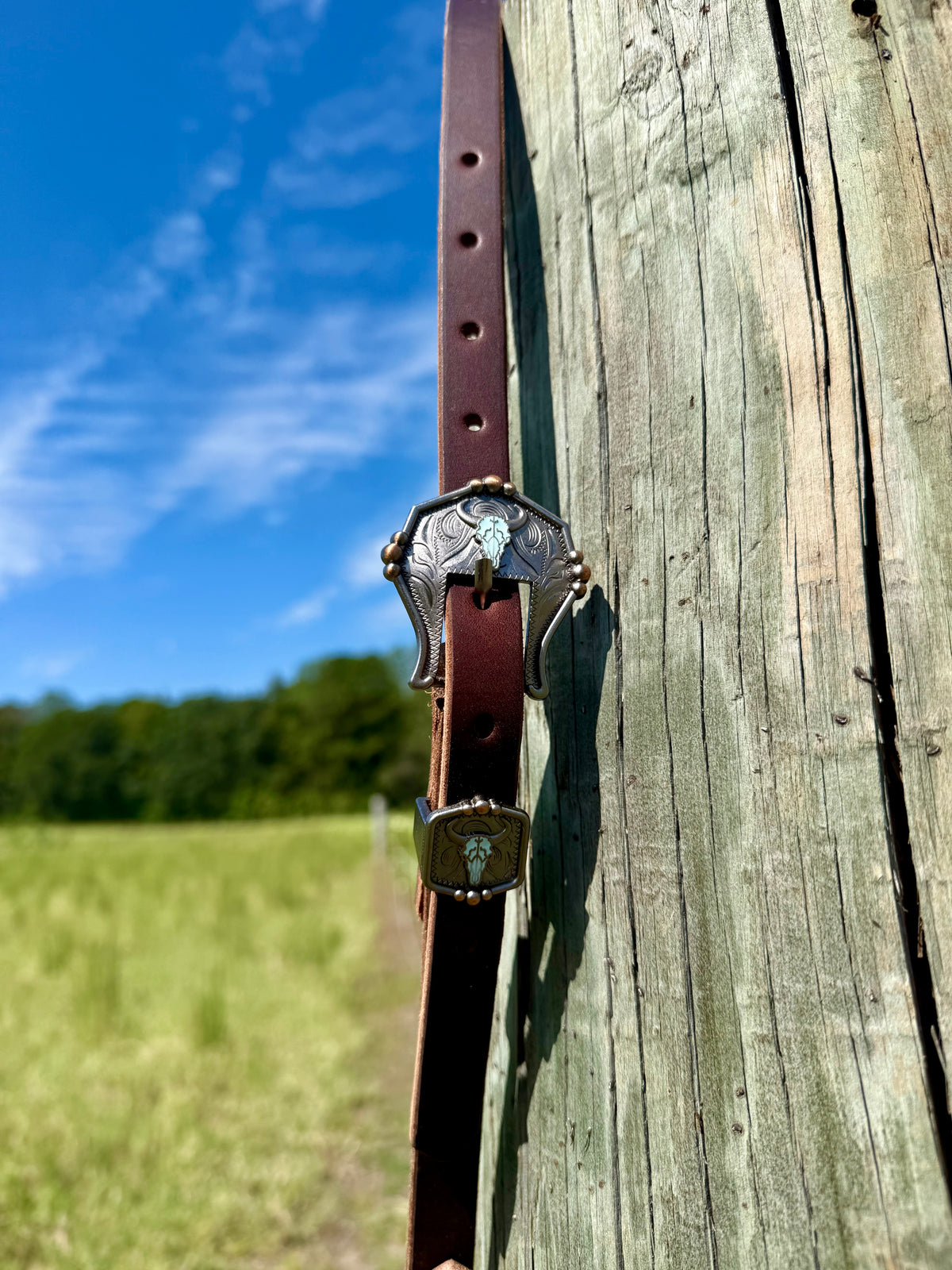 Harness Leather Split Ear Headstall Turquoise Steer Head Buckle Set