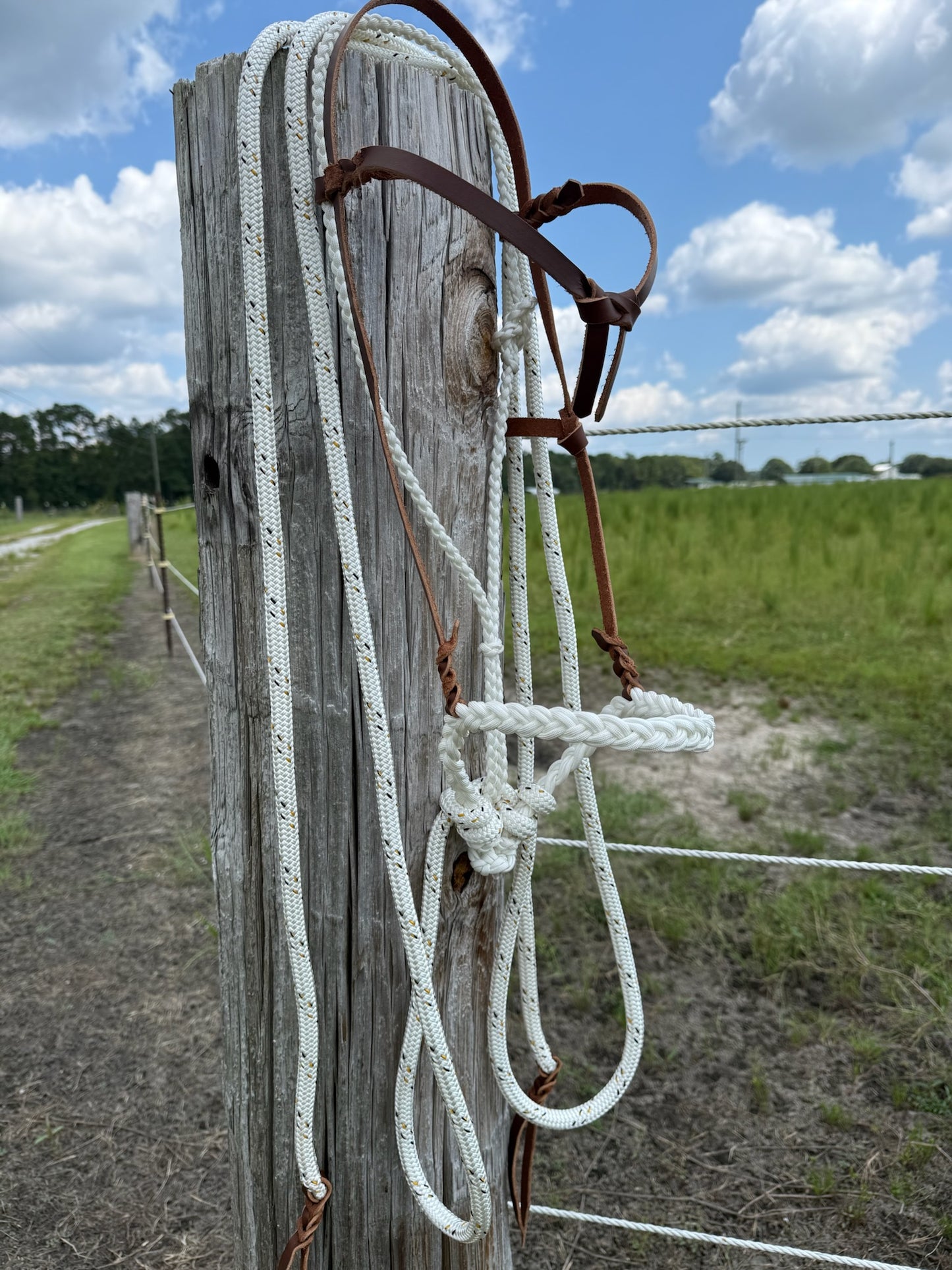 Colt Size Loping Hackamore Latigo Leather with Fiador