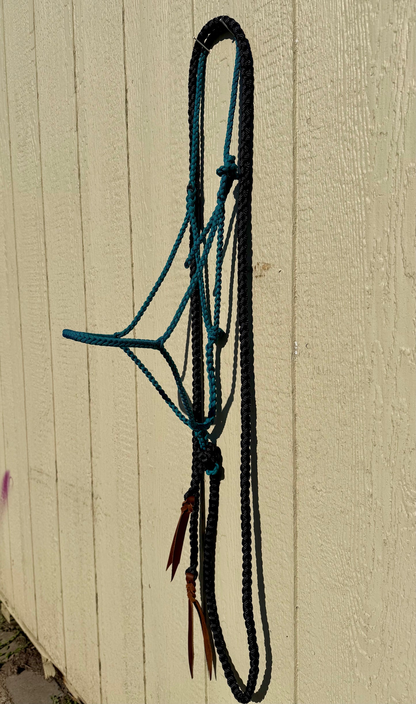 Paracord Halter Teal w/ Black 8ft Lead