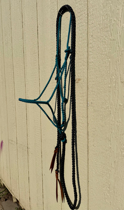 Paracord Halter Teal w/ Black 8ft Lead