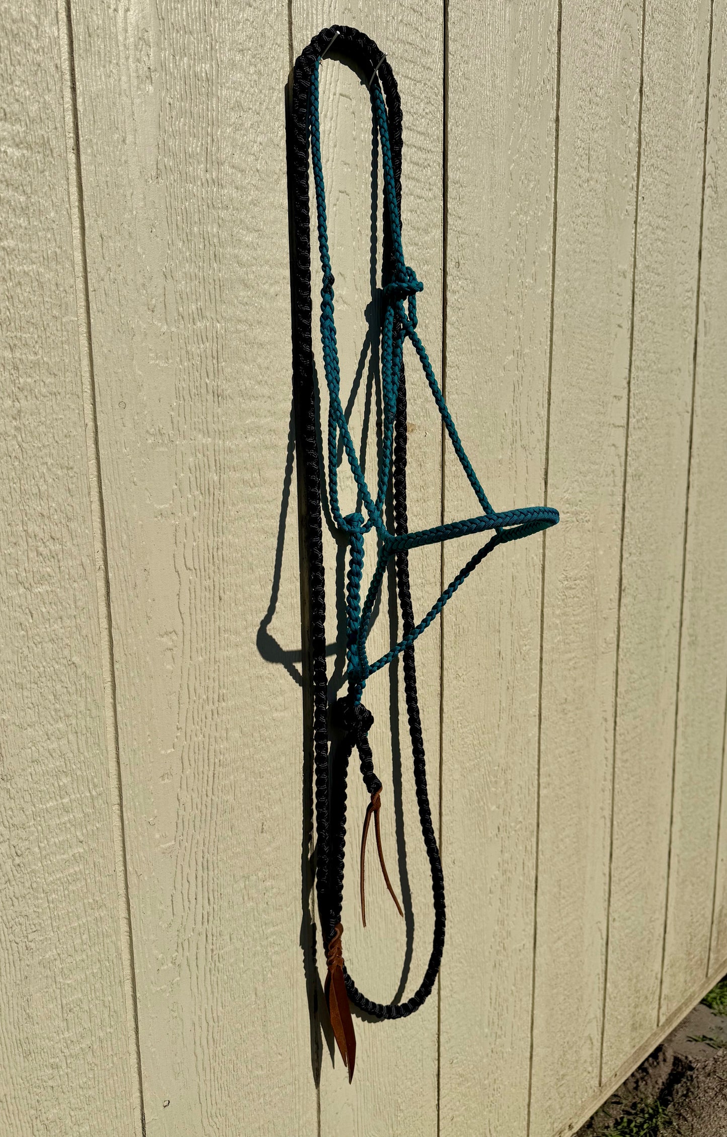 Paracord Halter Teal w/ Black 8ft Lead