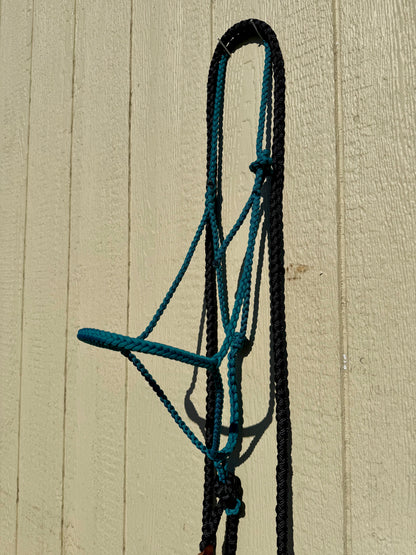 Paracord Halter Teal w/ Black 8ft Lead