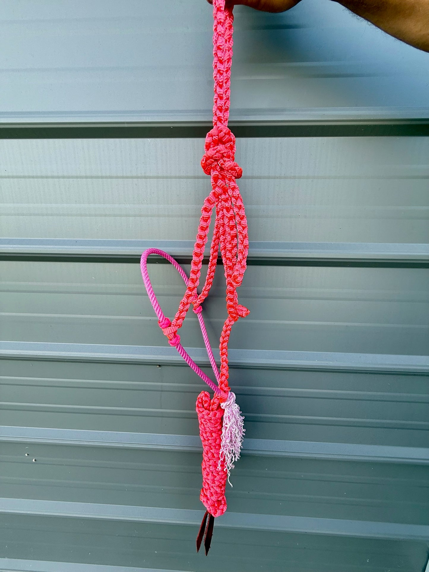 Custom Lariat Muletape Halter