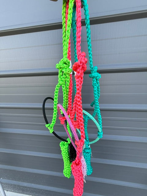 Custom Lariat Muletape Halter