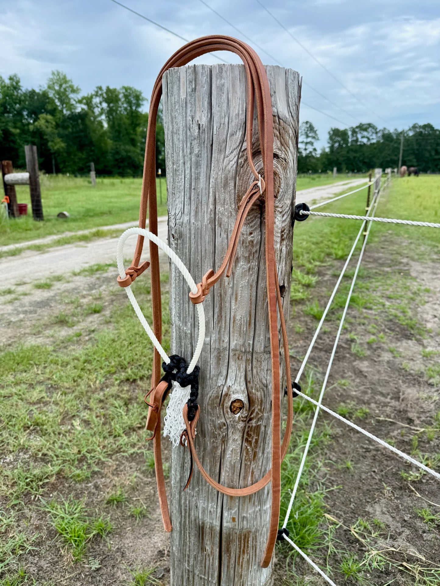 Harness Leather Loping Hackamore Leather Split Reins