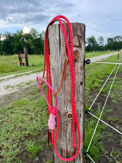 Custom Loping Hackamore