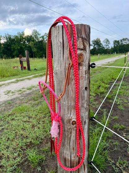 Custom Loping Hackamore