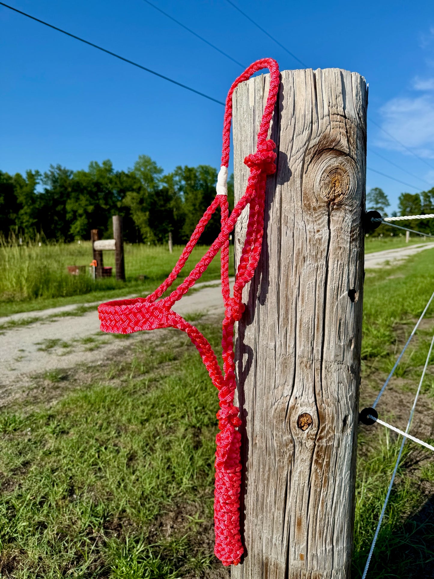 Custom Classic Muletape Halter