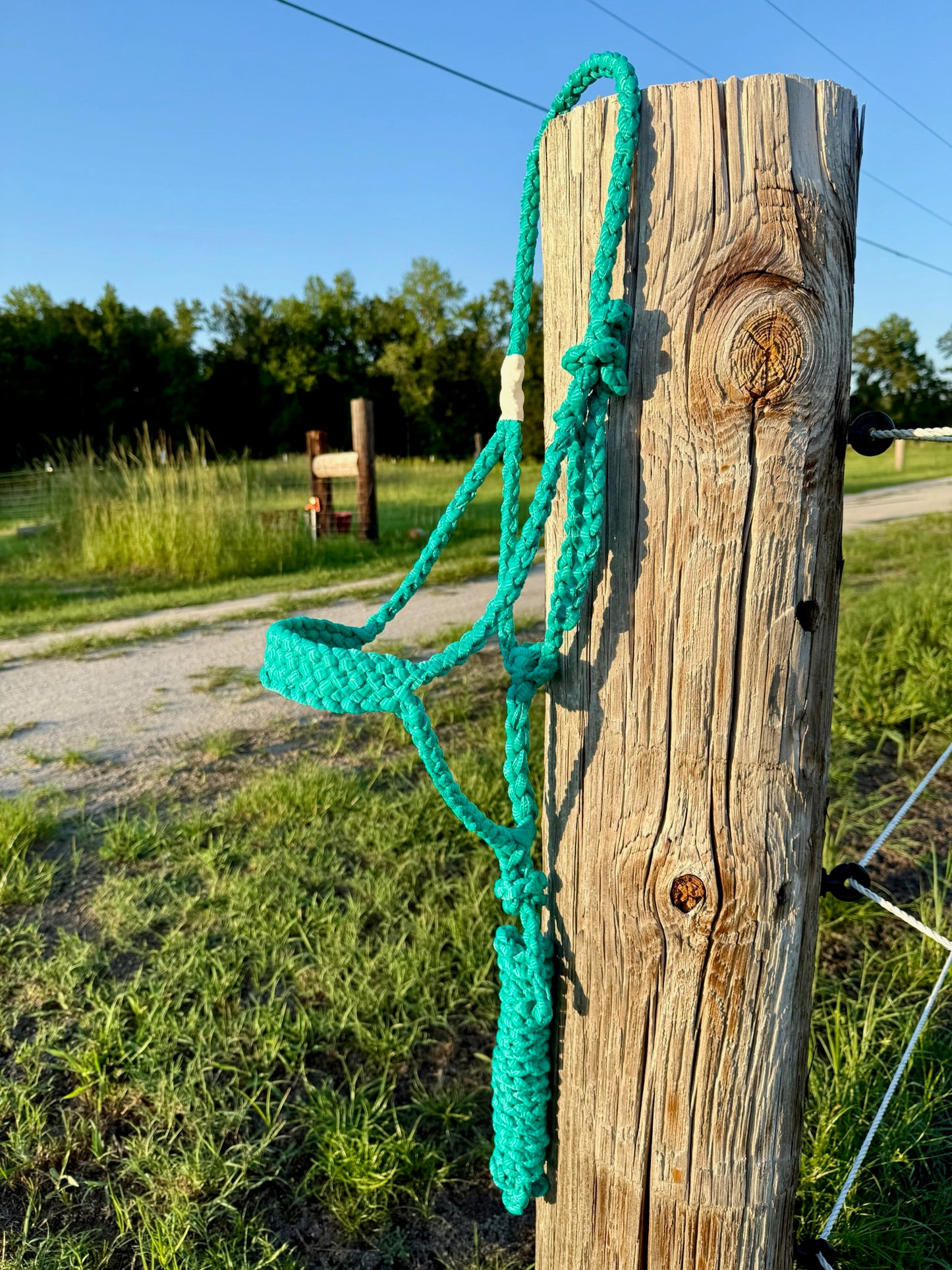 Custom Classic Muletape Halter