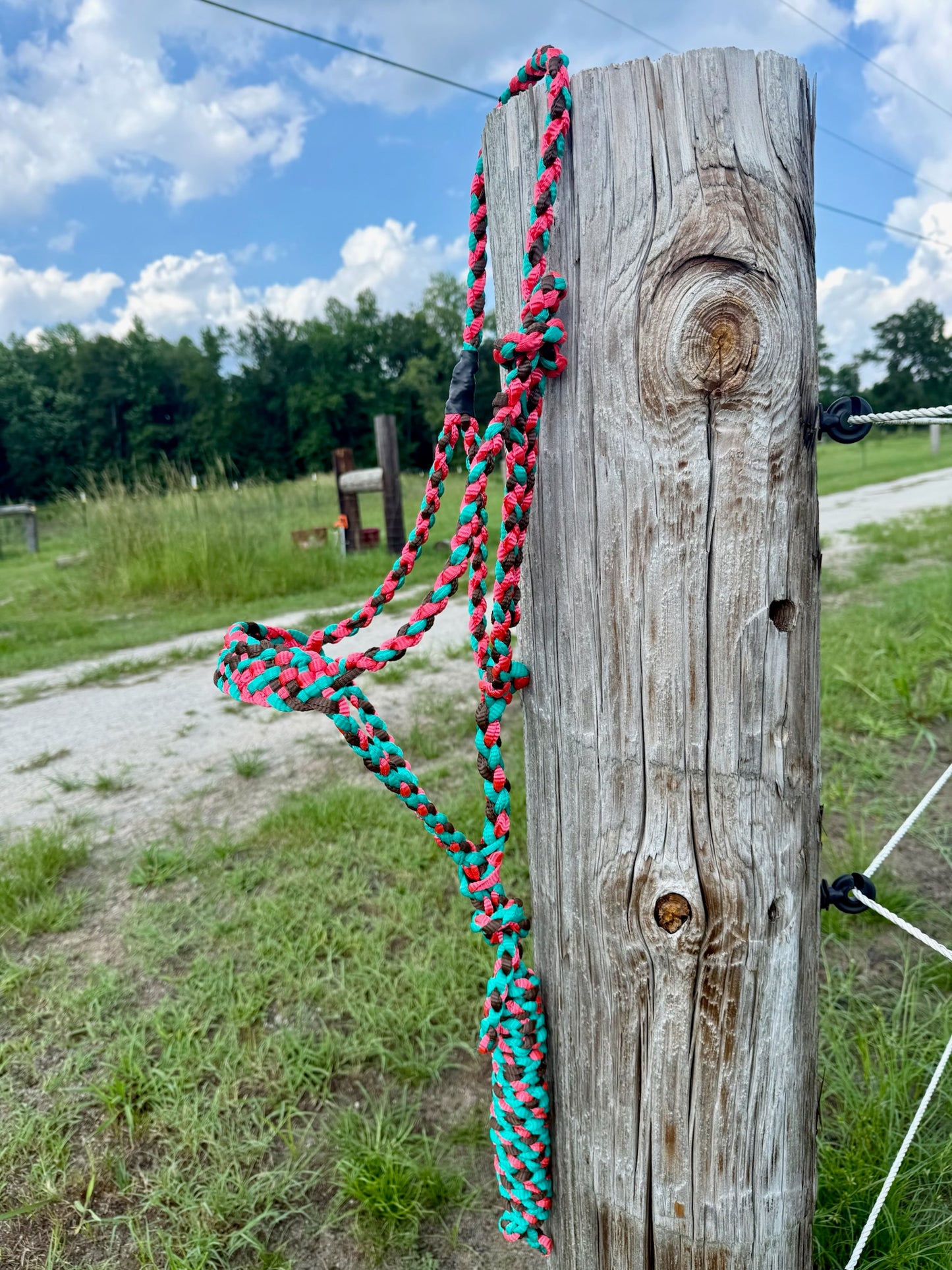 Custom Classic Muletape Halter