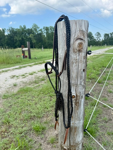Custom Loping Hackamore