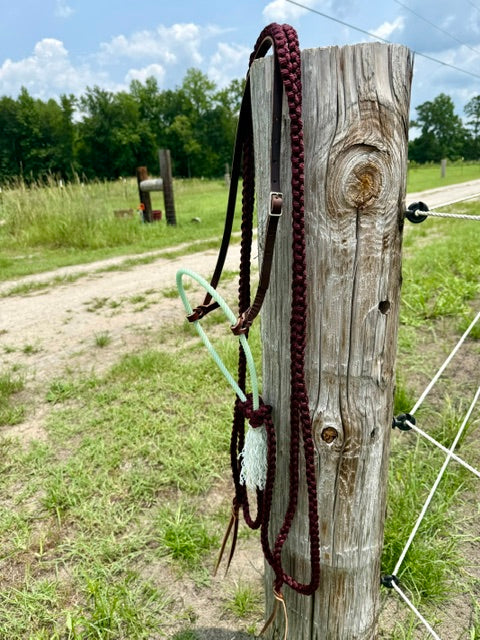 Custom Loping Hackamore
