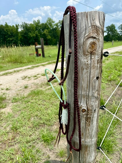 Custom Loping Hackamore