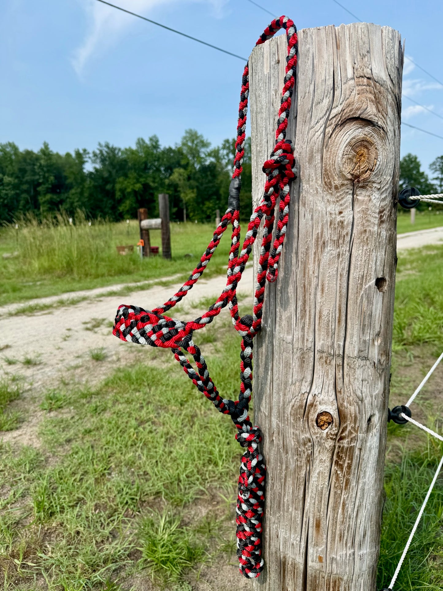 Custom Classic Muletape Halter