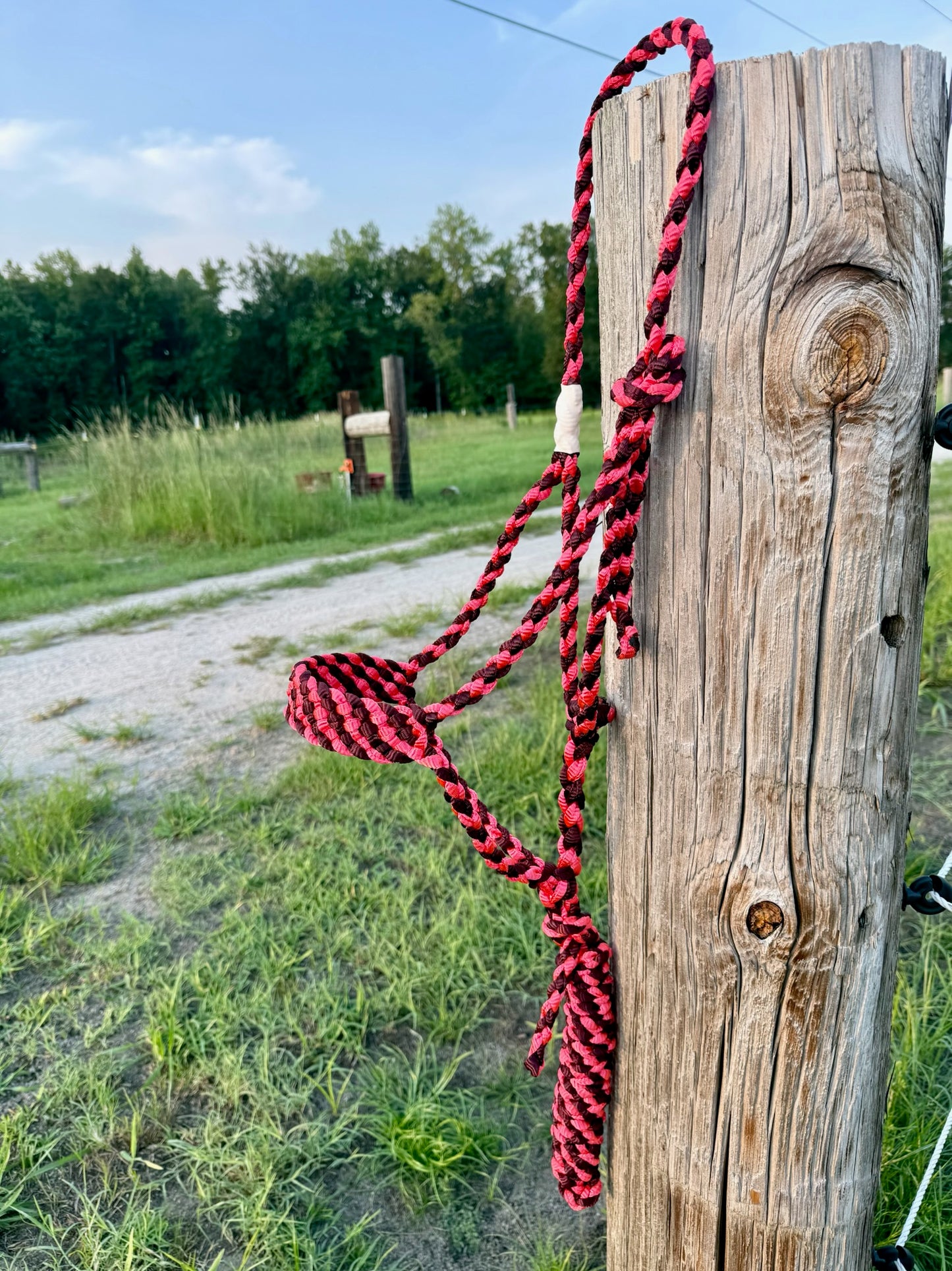 Custom Classic Muletape Halter