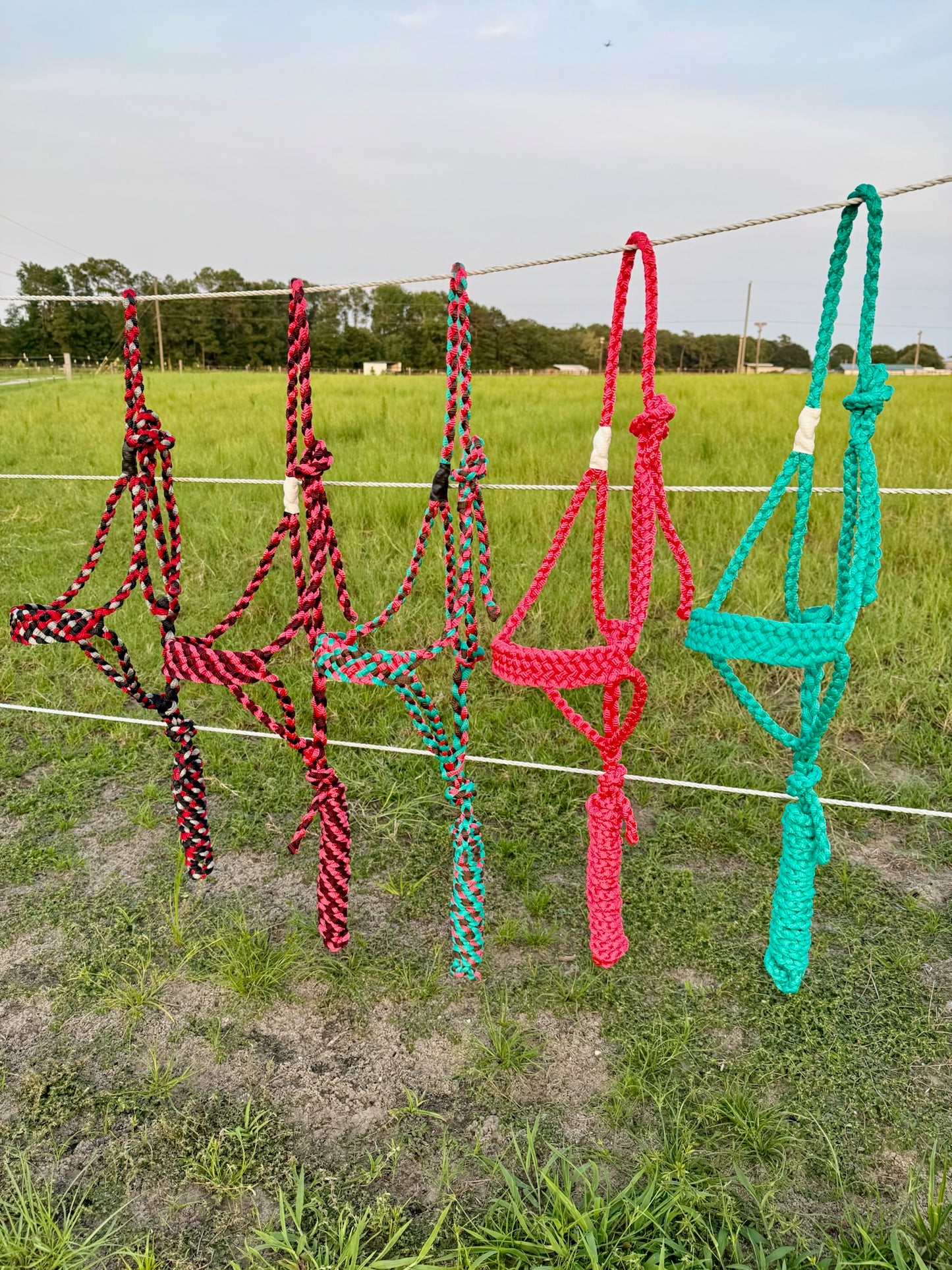 Custom Classic Muletape Halter