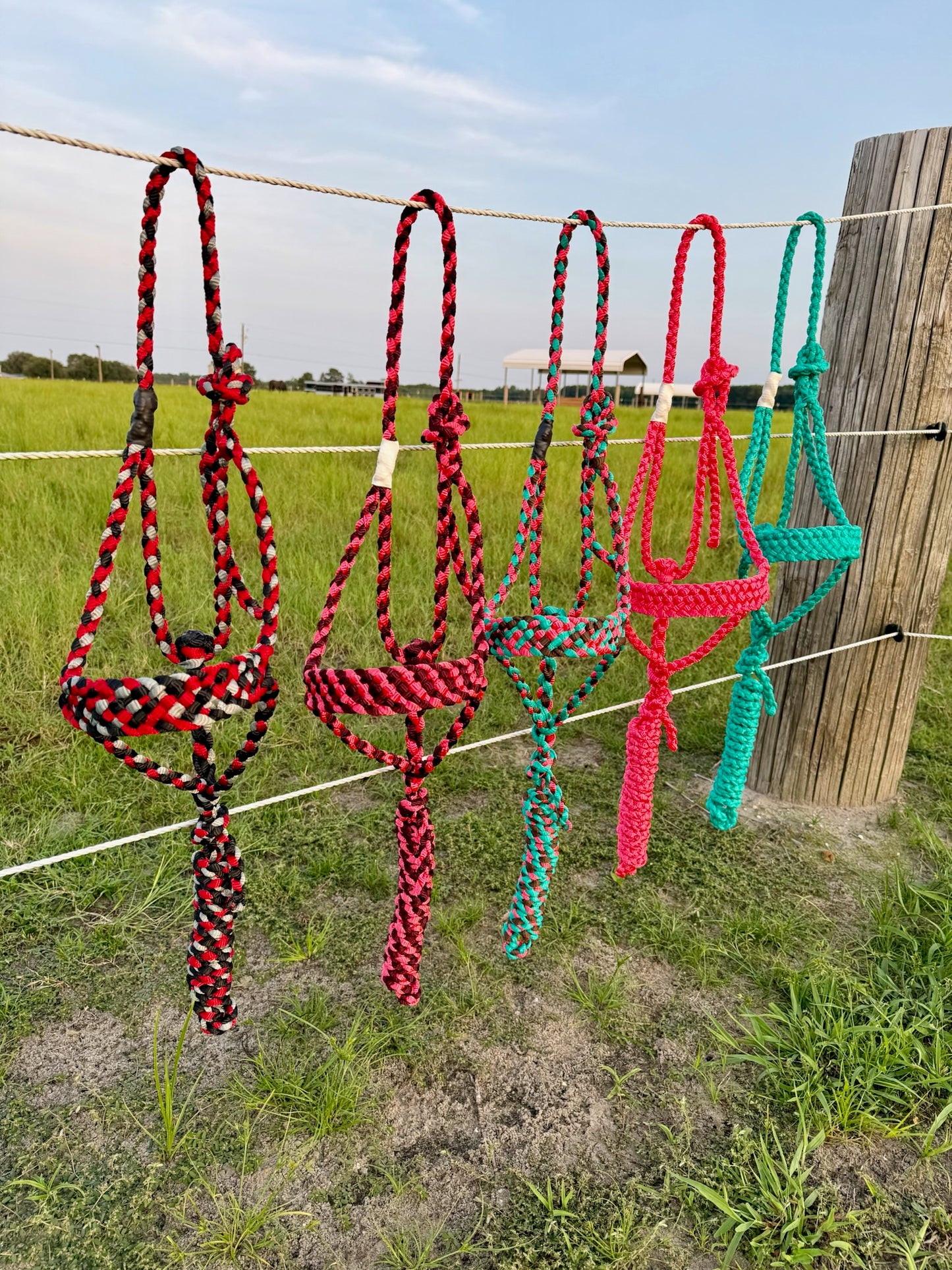 Custom Classic Muletape Halter
