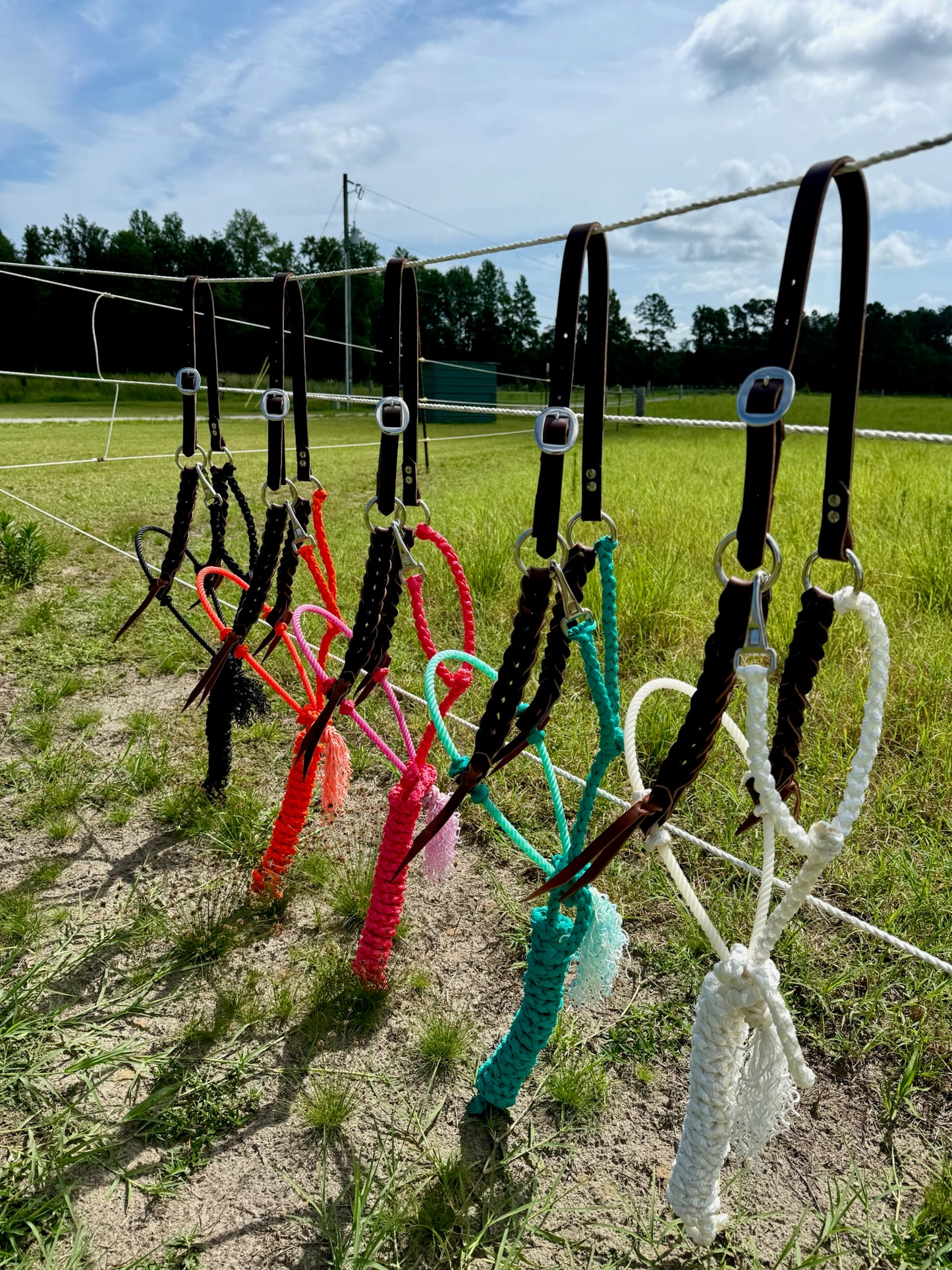 Custom Blood Knot Hybrid Halter