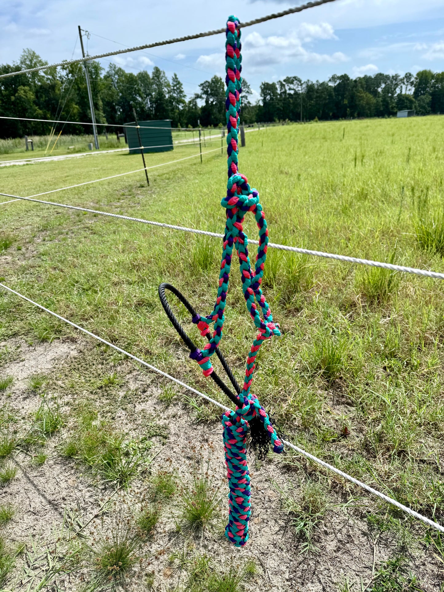 Custom Lariat Muletape Halter