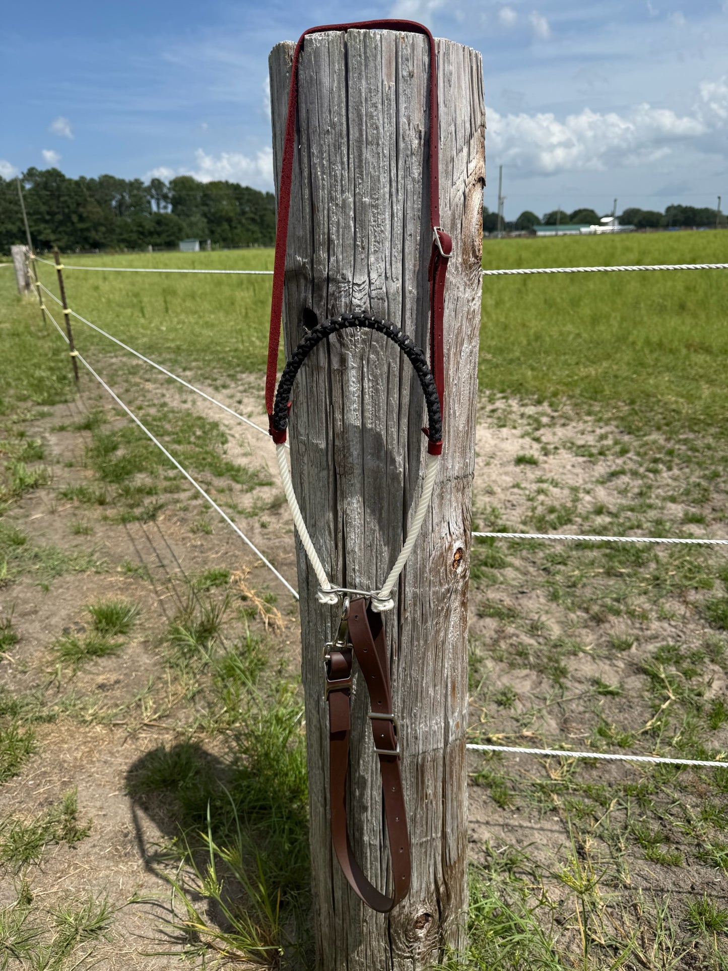 Lariat Rope Tie Down with Strap