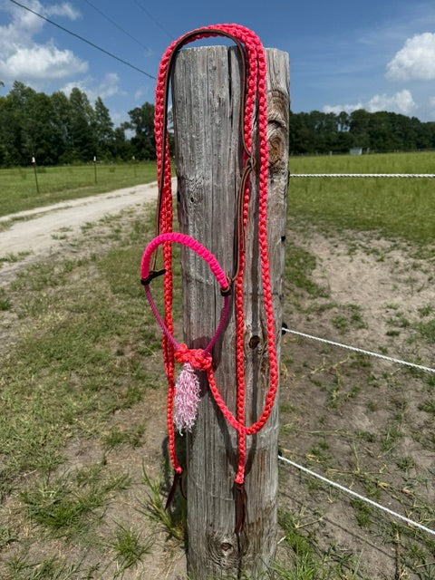 Pink Loping Hackamore Ready To Ship