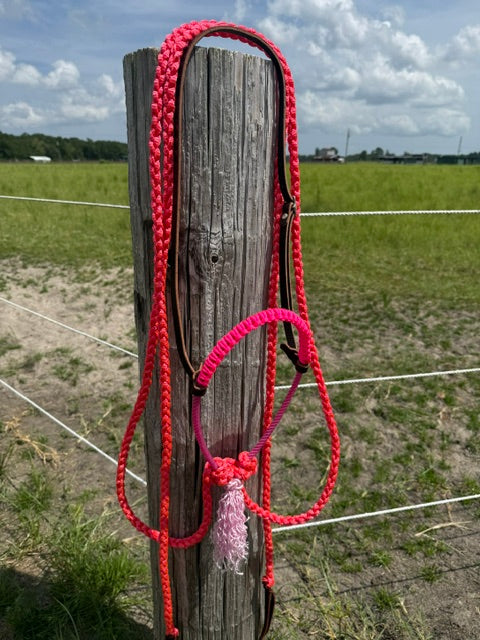 Pink Loping Hackamore Ready To Ship
