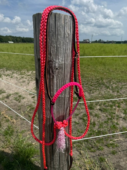 Pink Loping Hackamore Ready To Ship