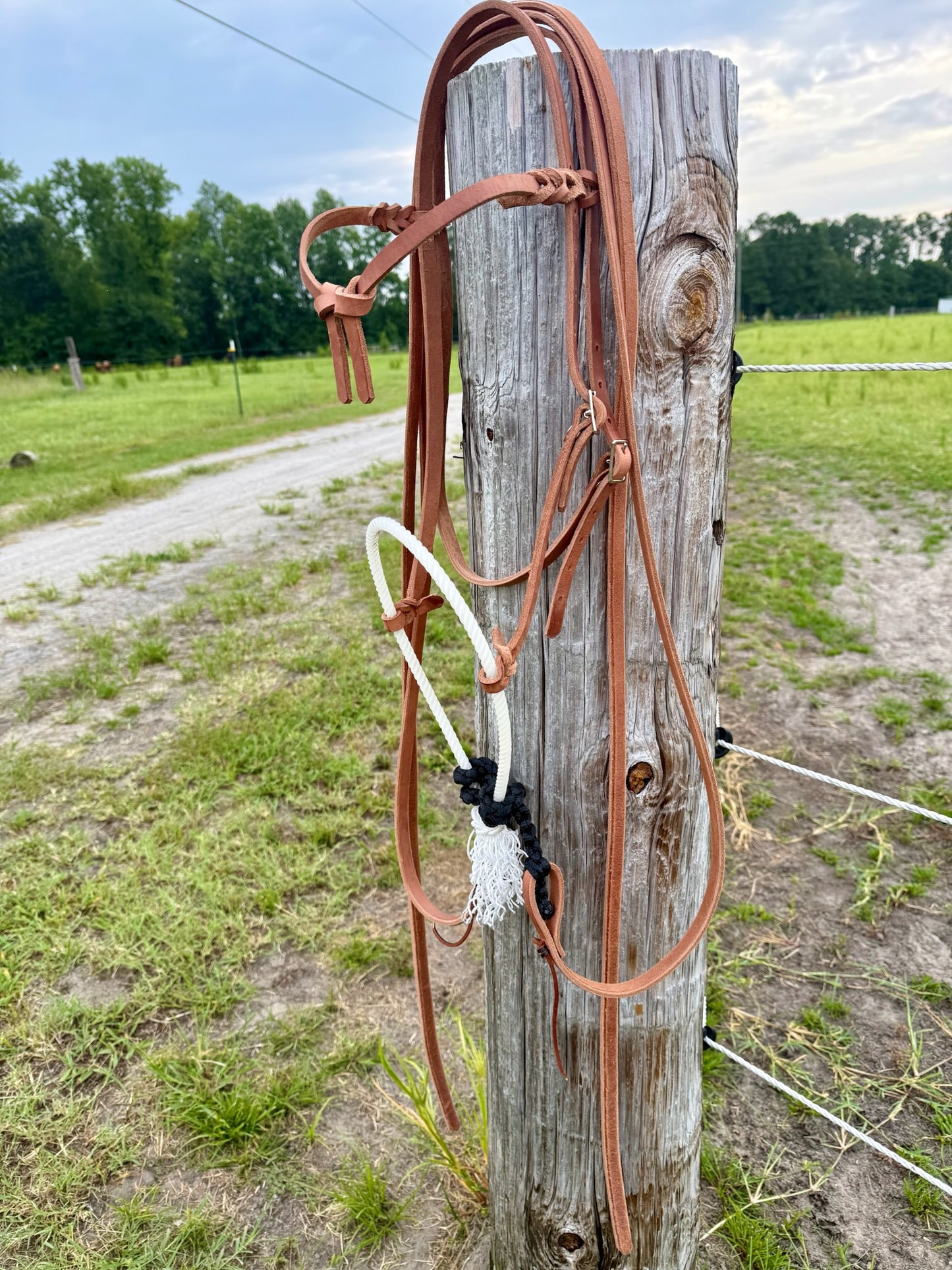 Futurity Knot Browband Loping Hackamore Leather Split Reins