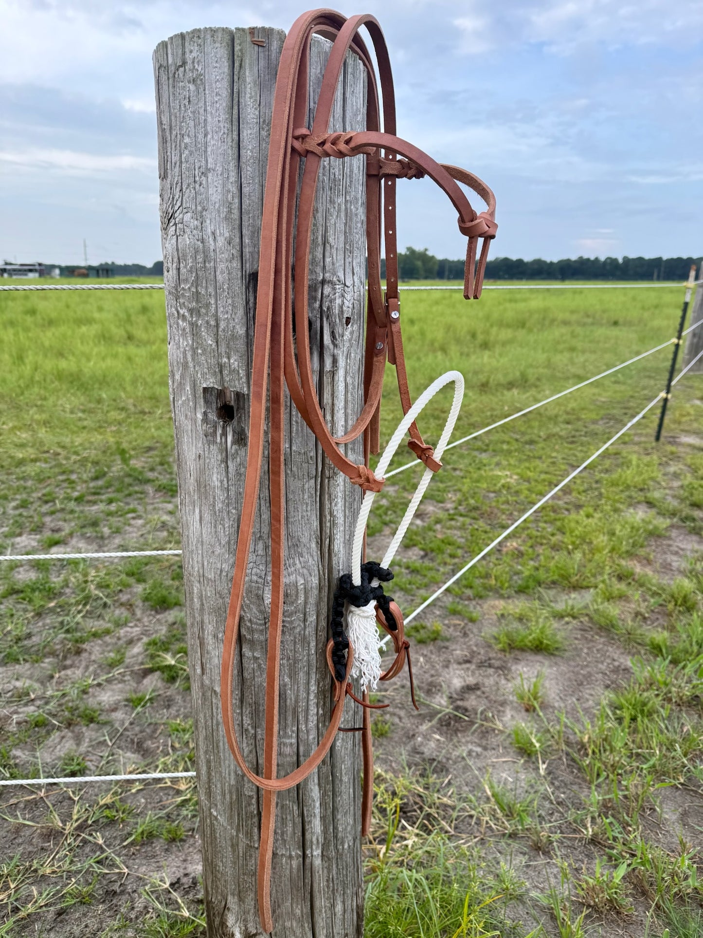 Futurity Knot Browband Loping Hackamore Leather Split Reins