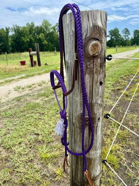 Custom Loping Hackamore