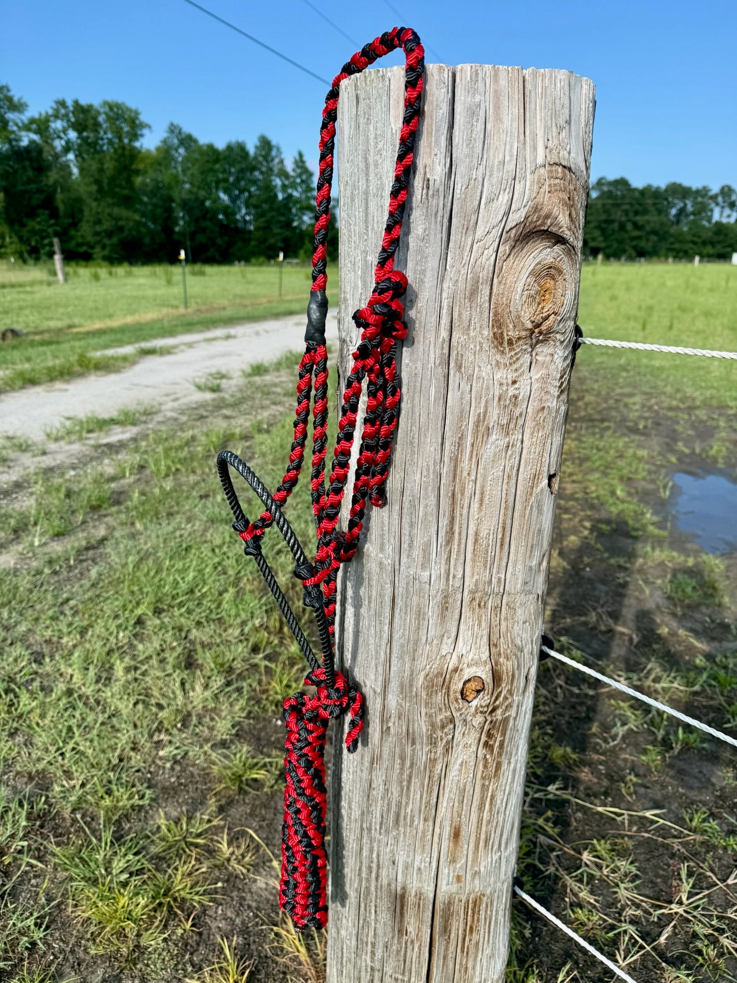 Custom Lariat Muletape Halter