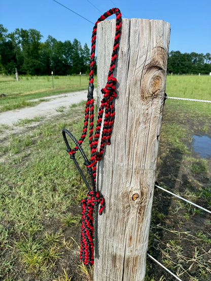 Custom Lariat Muletape Halter
