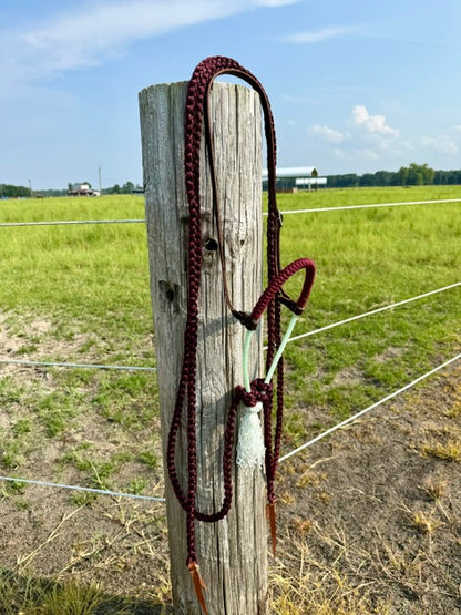 Custom Loping Hackamore