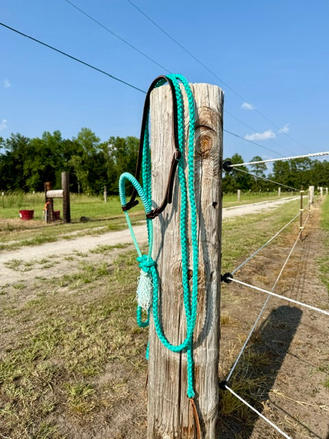 Custom Loping Hackamore