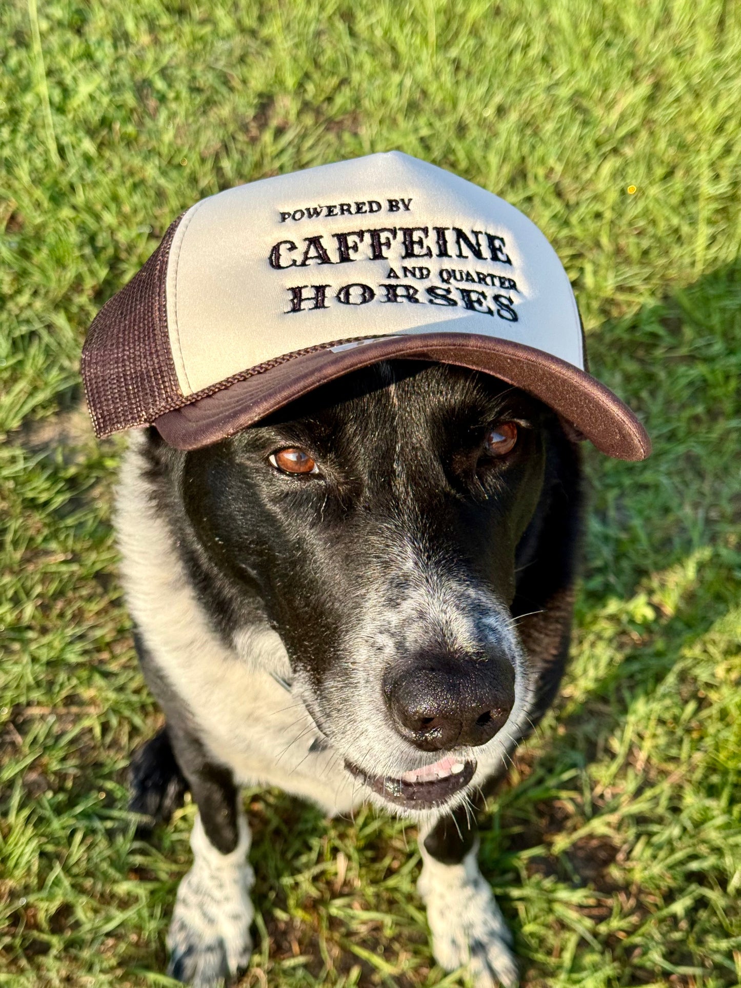 "Powered by Caffeine and Quarter Horses" Foam Trucker Hat