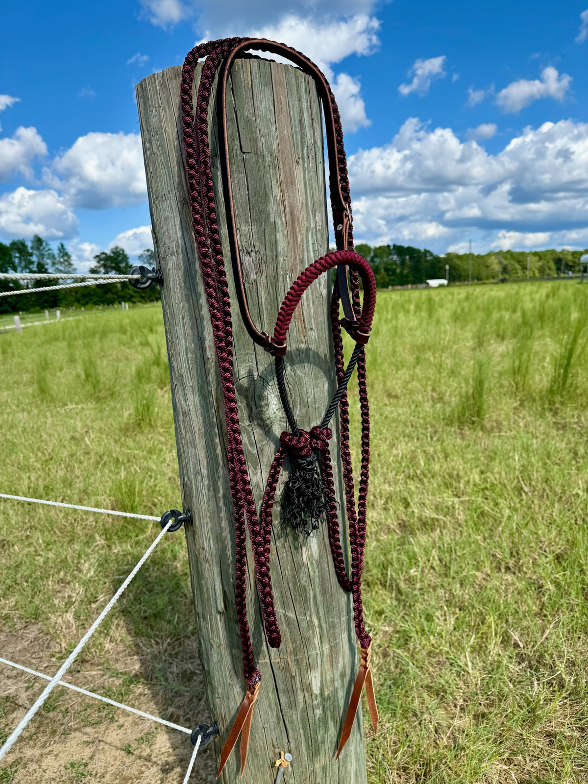 Custom Loping Hackamore with Muletape Reins