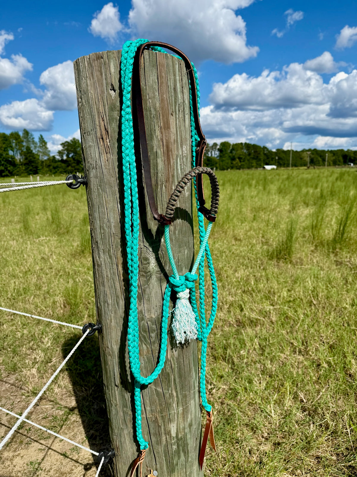 Custom Loping Hackamore with Muletape Reins