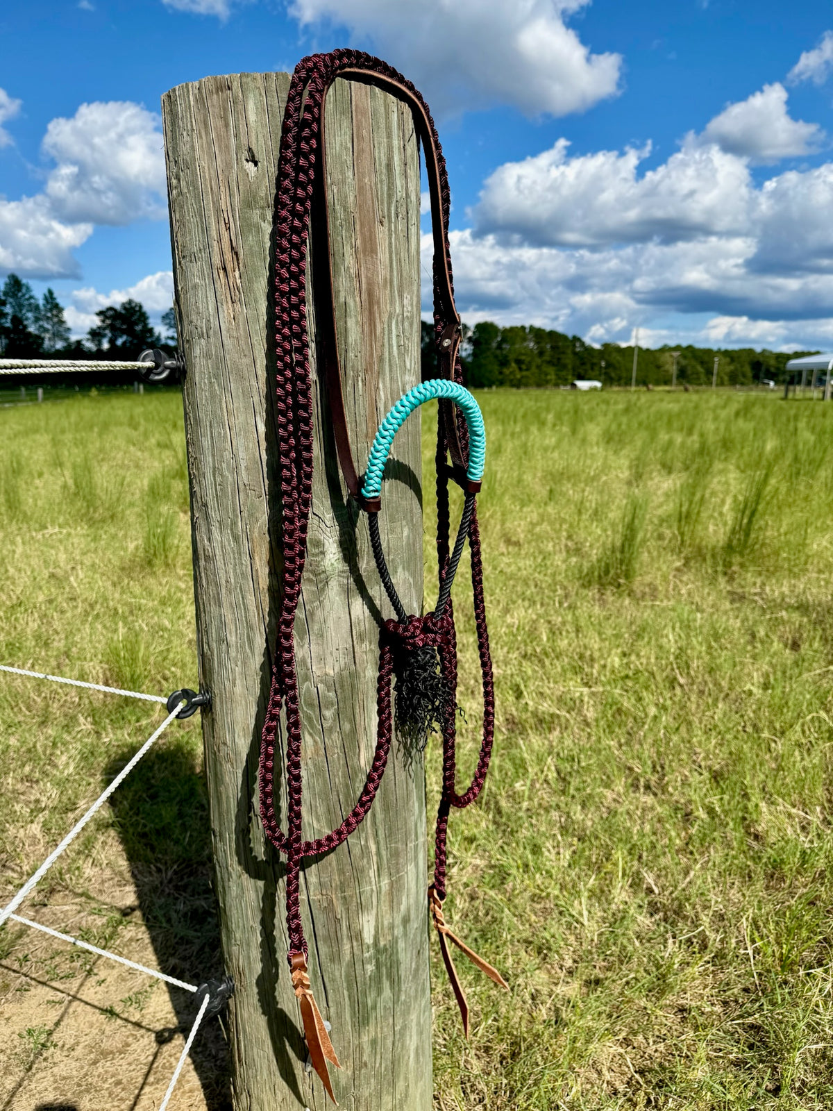 Custom Loping Hackamore with Muletape Reins