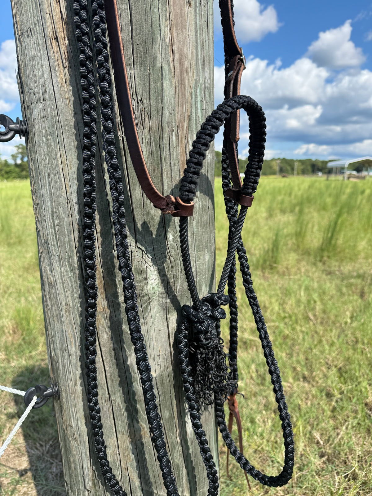 Custom Loping Hackamore with Muletape Reins