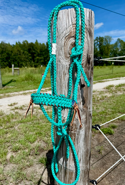 Classic Muletape Halter with Buckstitch and Conchos