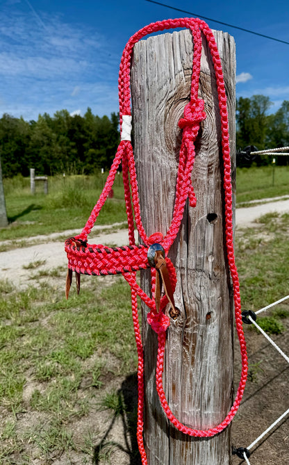 Classic Muletape Halter with Buckstitch and Conchos
