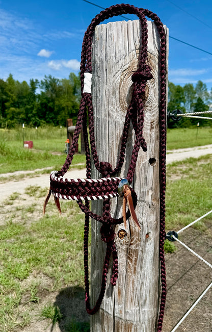 Classic Muletape Halter with Buckstitch and Conchos