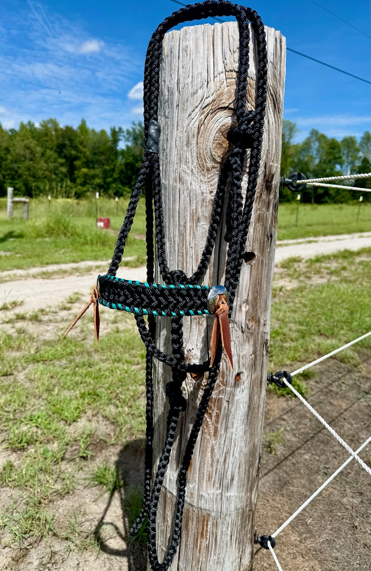 Classic Muletape Halter with Buckstitch and Conchos