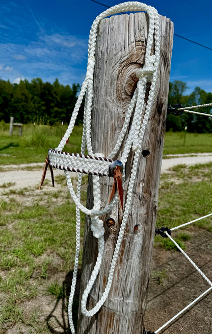 Classic Muletape Halter with Buckstitch and Conchos
