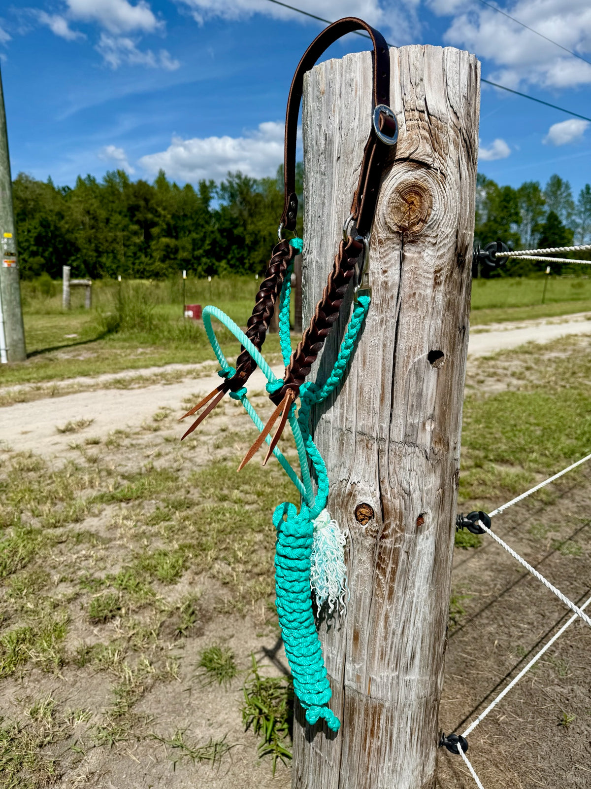Custom Blood Knot Hybrid Halter