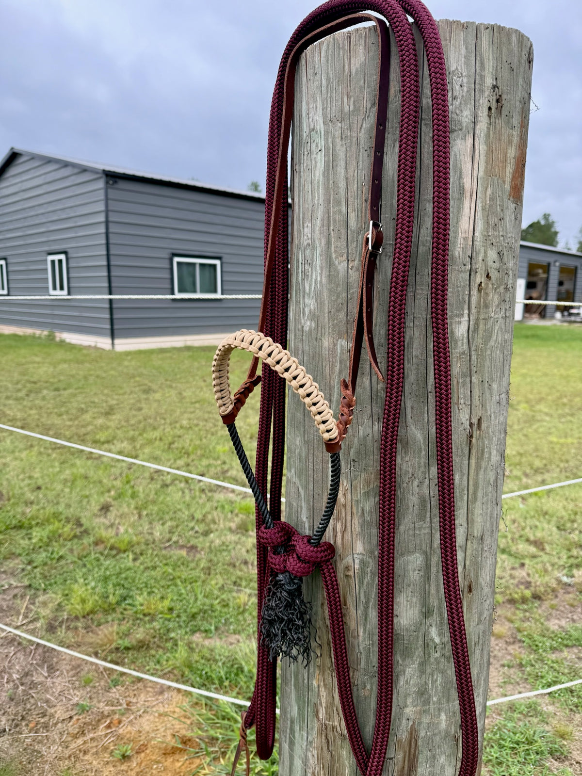 Loping Hackamore Burgundy Split Reins